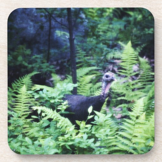 Mother Turkey in Ferdns Cork Coaster コースター (正面)