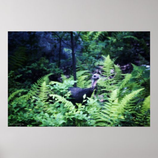 Mother Turkey in Fernsポスター ポスター (正面)