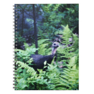 Mother Turkey in Ferns Notebook ノートブック