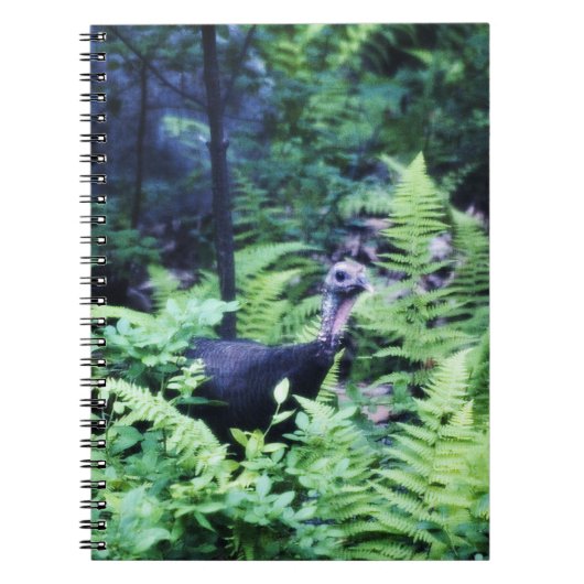 Mother Turkey in Ferns Notebook ノートブック (正面)