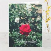 Mother's Day カード (黄色い花)