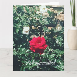 Mother's Day カード