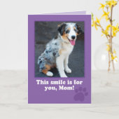 Mother's Day Card from Your Dog Photo Card カード (黄色い花)