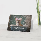 Mothers Day Cute and Funny Chihuahua Small Dog  カード (正面)