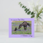 Mother's Day for Step Mom Mare & Foal写真 ポストカード (スタンド正面)