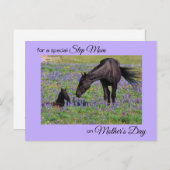 Mother's Day for Step Mom Mare & Foal写真 ポストカード (正面/裏面)