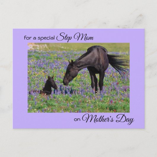 Mother's Day for Step Mom Mare & Foal写真 ポストカード (正面)