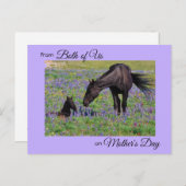Mother's Day from Both of Us Mare & Foal写真 ポストカード (正面/裏面)