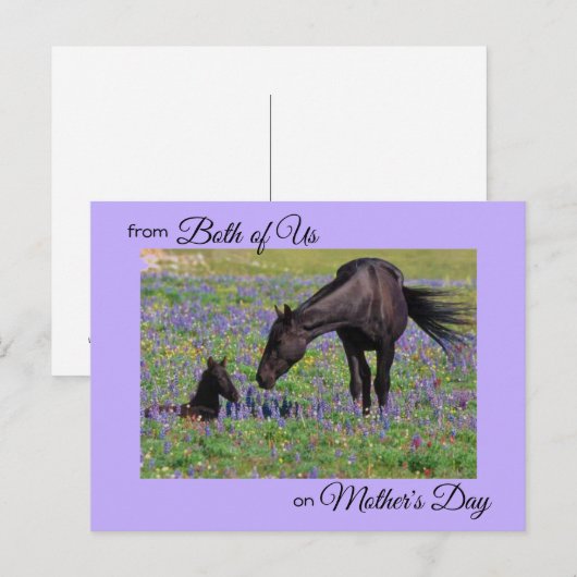 Mother's Day from Both of Us Mare & Foal写真 ポストカード (正面/裏面)