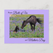 Mother's Day from Both of Us Mare & Foal写真 ポストカード (正面)
