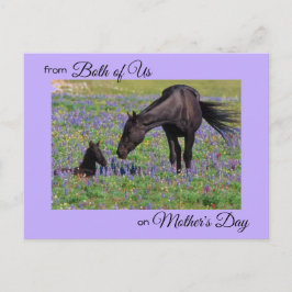 Mother's Day from Both of Us Mare & Foal写真 ポストカード