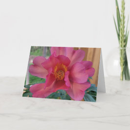 Mother's Day Greeting Card Julia Rose Peony サンキューカード