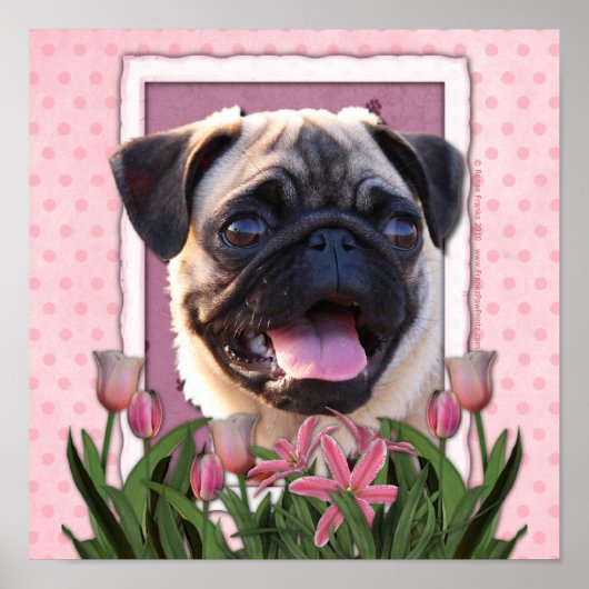 Mothers Day - Pink Tulips - Pug ポスター (正面)