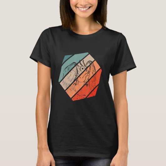 Mothman Cryptozoology Hexaレトロ民俗暗号 Tシャツ (正面)