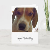 Mothrs幸せな日! カード (正面)