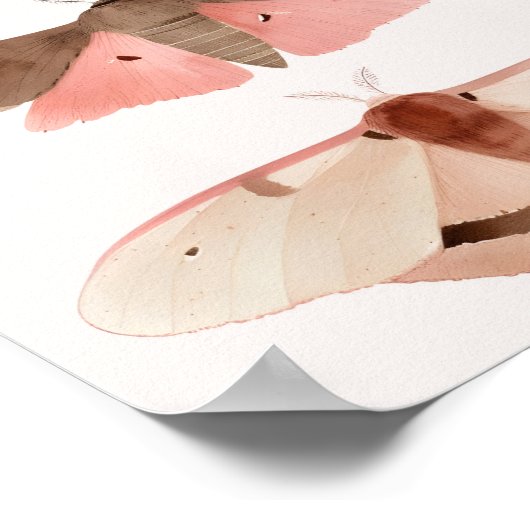 Moths for Good Fortune  ポスター (角)