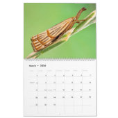 MOTHS UPCLOSE 2021カレンダー カレンダー (3月 2026)