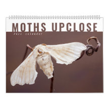 MOTHS UPCLOSE 2021カレンダー