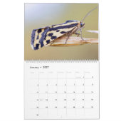MOTHS UPCLOSE 2021カレンダー カレンダー (1月 2027)