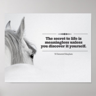 Motivational Poster "The Secret to Life..." ポスター