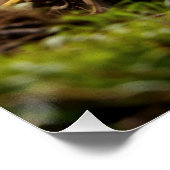 Moto-xing - Motocross Racers ポスター (コーナー)