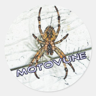MOTOVUNEスパイダーカラー ラウンドシール