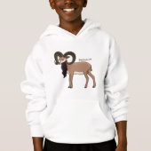 Mouflon goat illustration (正面)