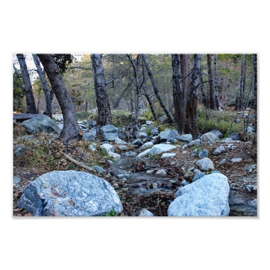 Mount Baldy  フォトプリント (正面)