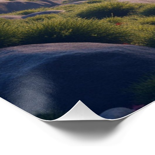 Mount Fuji landscape ポスター (コーナー)