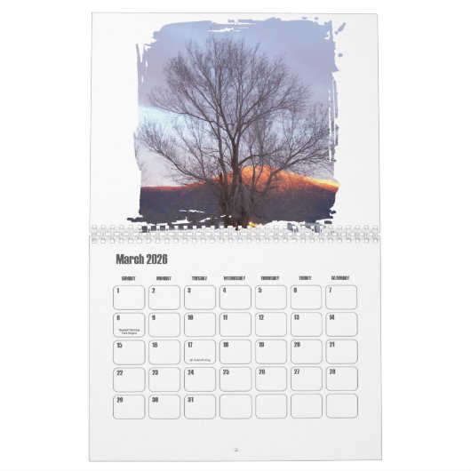 Mount Grant, Nevada Photos in Brush Stroke Opeing カレンダー (3月 2026)