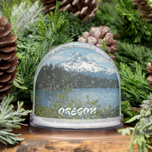 Mount Hood, Oregon Travel Photo (冬)