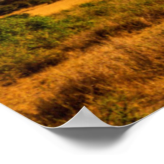 Mount Kilimanjaro | Amboseli, Kenya ポスター (角)