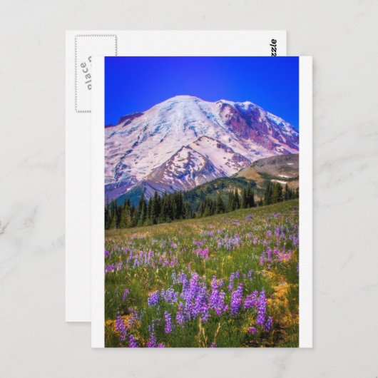 Mount Rainier ポストカード (正面/裏面)