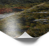 Mount Rainier Scenic Valley Landscape フォトプリント (角)