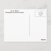 Mount Saint Helens ポストカード (裏面)