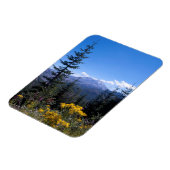 Mount Saint Helens マグネット (左側)