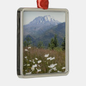 Mount Saint Helens メタルオーナメント (右)
