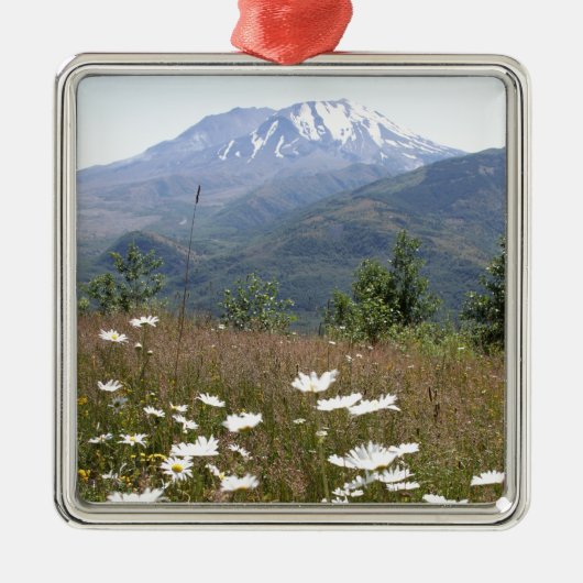 Mount Saint Helens メタルオーナメント (正面)