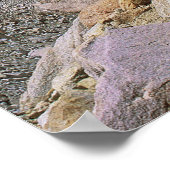 Mount Whitney And Wildflowers ポスター (角)