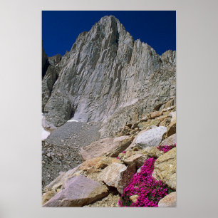 Mount Whitney And Wildflowers ポスター