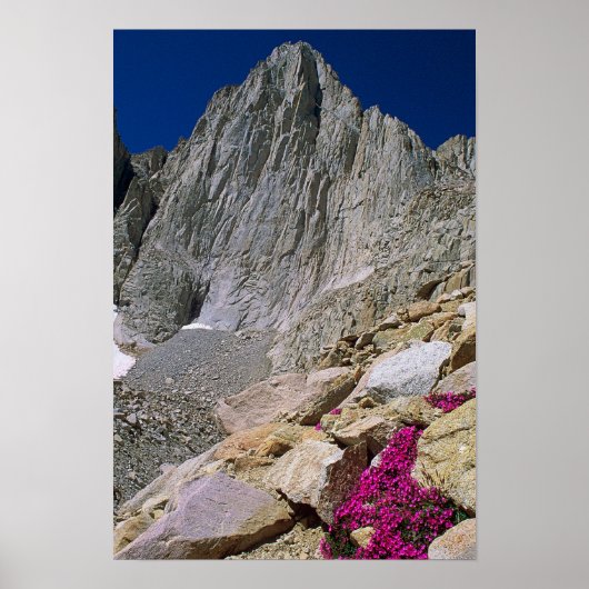 Mount Whitney And Wildflowers ポスター (正面)