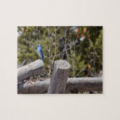 Mountain Blue Jay - 8x10 - 110個 ジグソーパズル (横)