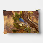 Mountain Bluebird at Arches National Park アクセサリーポーチ (裏面)