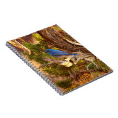 Mountain Bluebird at Arches National Park ノートブック (右側)