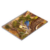 Mountain Bluebird at Arches National Park ノートブック (左側)