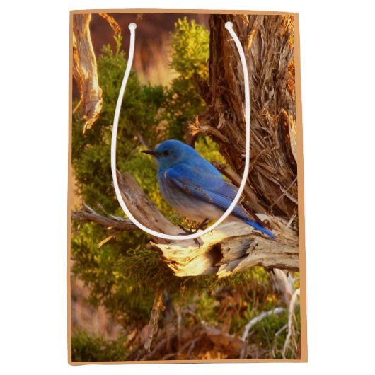 Mountain Bluebird at Arches National Park ミディアムペーパーバッグ (正面)