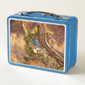 Mountain Bluebird at Arches National Park メタルランチボックス (裏面)