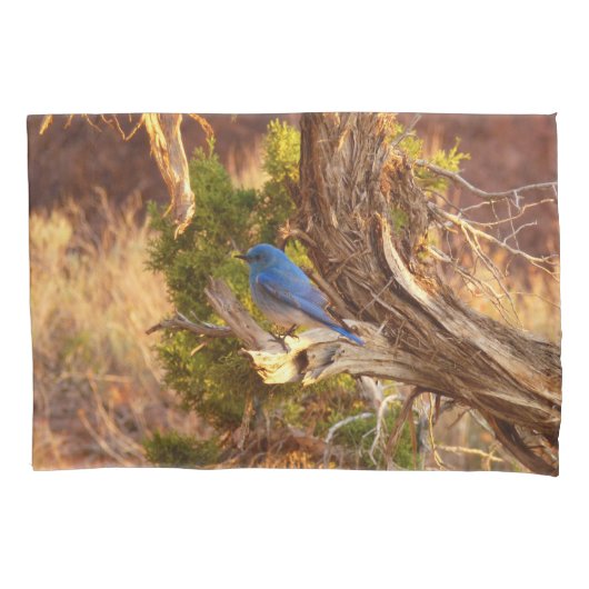Mountain Bluebird at Arches National Park 枕カバー (正面)