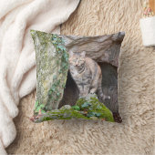 Mountain Cat クッション (ブランケット)