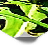 Mountain Dandelion写真：オタワ・カナダ ポスター (角)